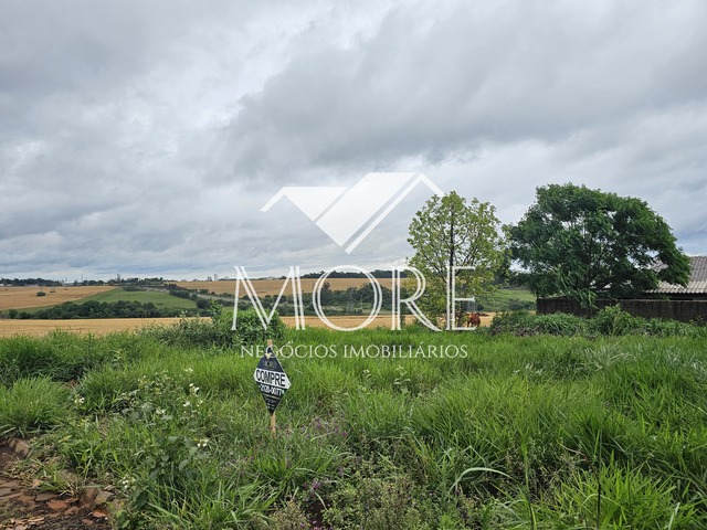 Venda em Figueira - Santa Rosa